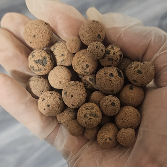 🎁 Natural Clay Pebbles Ib - Picture 1 of 2